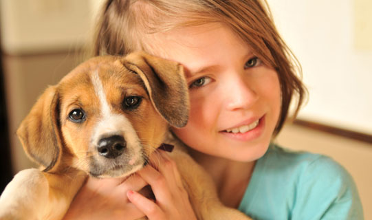 A little girl holding a cute puppy.