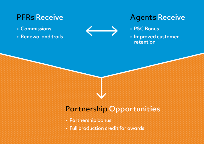 Infographic about how personal financial reps share with an agent and their partnership. 