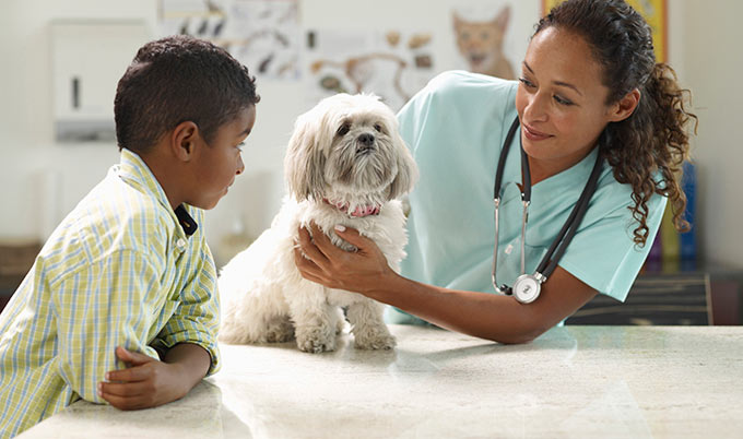 Check Out These Reasons to Choose a Family Vet