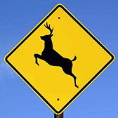 Deer crossing sign. 