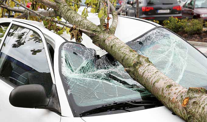 Does Car Insurance Cover Tree Damage Allstate