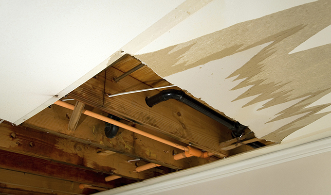  Best Water Damage Repair in Universal City TX 