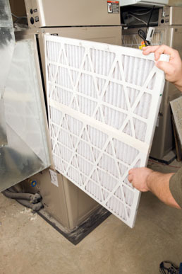 Remove the old air filter and slide the new filter into place.